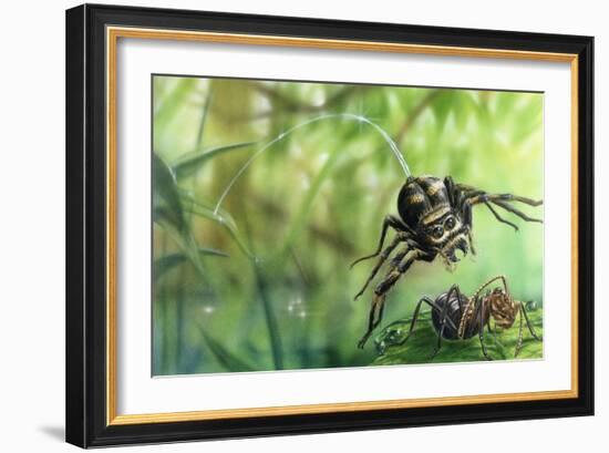 Jumping Spider (Salticidae) Pounces on Ant, Artwork by Lee Gibbons-null-Framed Giclee Print