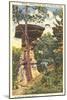 Jumping Stand Rock, Wisconsin Dells-null-Mounted Art Print