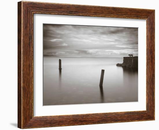 Jumptune-David Baker-Framed Photographic Print