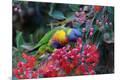 Photographic Print