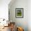 Junac, Montsalvy, Auvergne, France-Peter Adams-Framed Photographic Print displayed on a wall