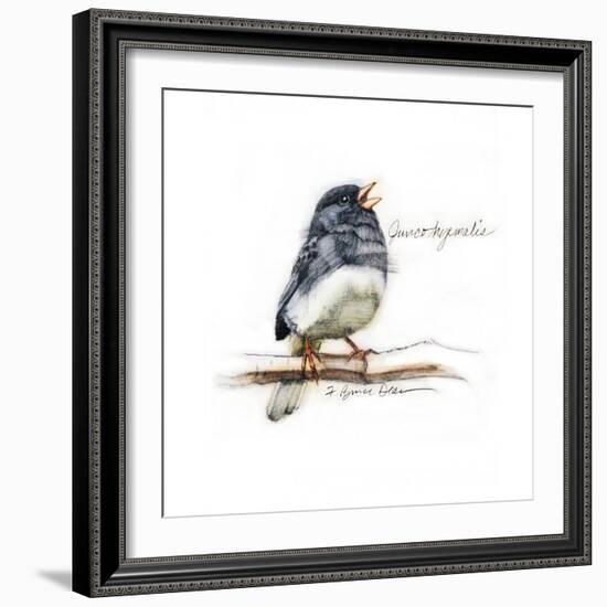 JUNCO #2-BRUCE DEAN-Framed Art Print