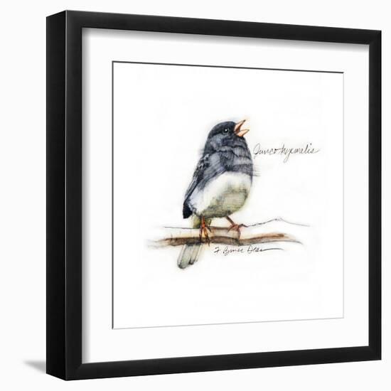 JUNCO #2-BRUCE DEAN-Framed Art Print