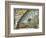 Junction Picture-null-Framed Photographic Print