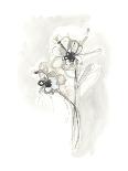 Sepia Butterfly Impressions III-June Erica Vess-Art Print