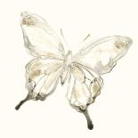 Sepia Butterfly Impressions IV-June Erica Vess-Art Print