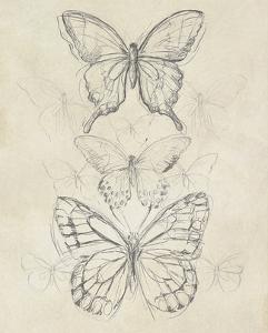 Beautiful Butterflies Artwork For Sale Posters And Prints