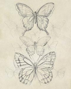Butterflies Art Prints Paintings Posters Framed Wall Artwork
