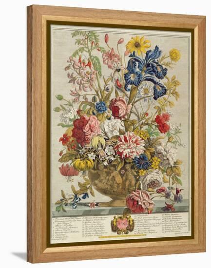 June, from 'Twelve Months of Flowers' by Robert Furber (C.1674-1756) Engraved by Henry Fletcher-Pieter Casteels-Framed Premier Image Canvas