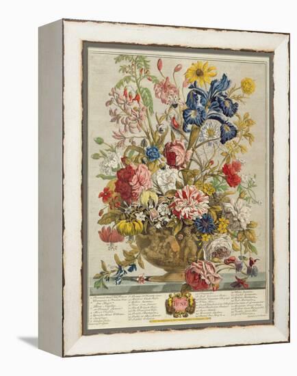 June, from 'Twelve Months of Flowers' by Robert Furber (C.1674-1756) Engraved by Henry Fletcher-Pieter Casteels-Framed Premier Image Canvas