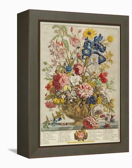 June, from 'Twelve Months of Flowers' by Robert Furber (C.1674-1756) Engraved by Henry Fletcher-Pieter Casteels-Framed Premier Image Canvas