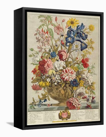 June, from 'Twelve Months of Flowers' by Robert Furber (C.1674-1756) Engraved by Henry Fletcher-Pieter Casteels-Framed Premier Image Canvas