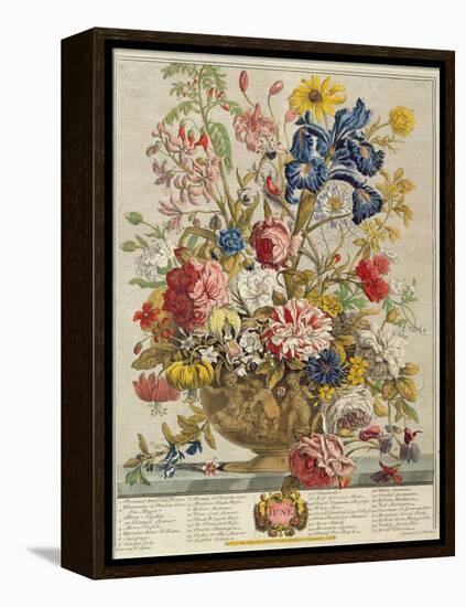 June, from 'Twelve Months of Flowers' by Robert Furber (C.1674-1756) Engraved by Henry Fletcher-Pieter Casteels-Framed Premier Image Canvas