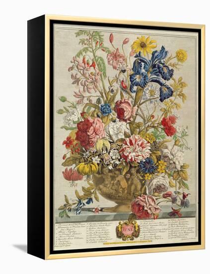 June, from 'Twelve Months of Flowers' by Robert Furber (C.1674-1756) Engraved by Henry Fletcher-Pieter Casteels-Framed Premier Image Canvas