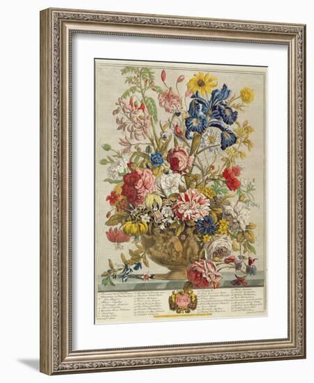 June, from 'Twelve Months of Flowers' by Robert Furber (C.1674-1756) Engraved by Henry Fletcher-Pieter Casteels-Framed Giclee Print