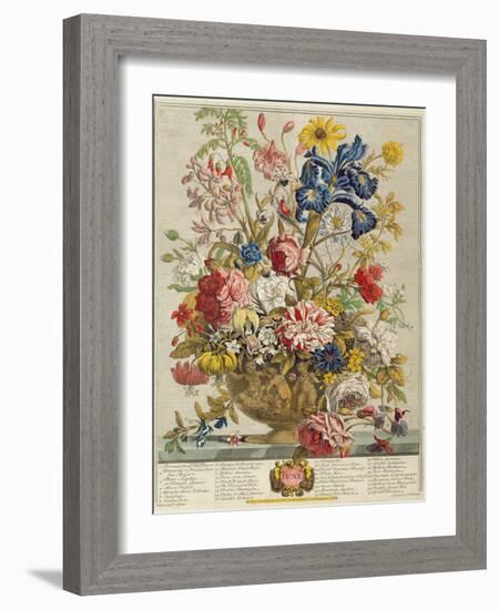 June, from 'Twelve Months of Flowers' by Robert Furber (C.1674-1756) Engraved by Henry Fletcher-Pieter Casteels-Framed Giclee Print