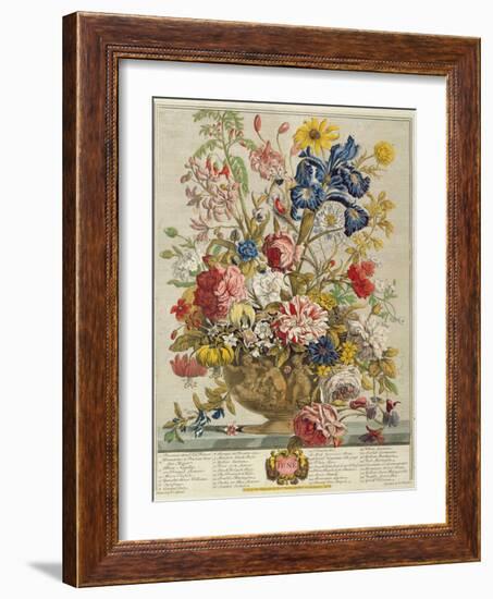 June, from 'Twelve Months of Flowers' by Robert Furber (C.1674-1756) Engraved by Henry Fletcher-Pieter Casteels-Framed Giclee Print