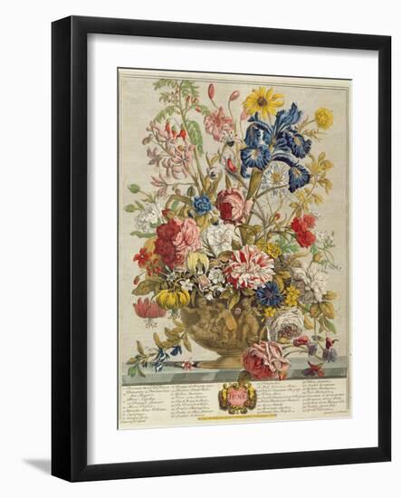 June, from 'Twelve Months of Flowers' by Robert Furber (C.1674-1756) Engraved by Henry Fletcher-Pieter Casteels-Framed Giclee Print