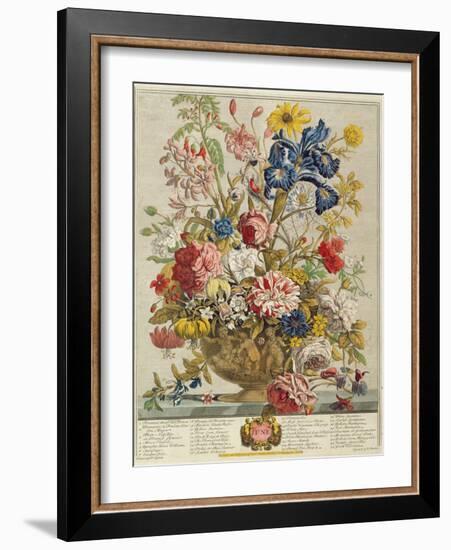 June, from 'Twelve Months of Flowers' by Robert Furber (C.1674-1756) Engraved by Henry Fletcher-Pieter Casteels-Framed Giclee Print