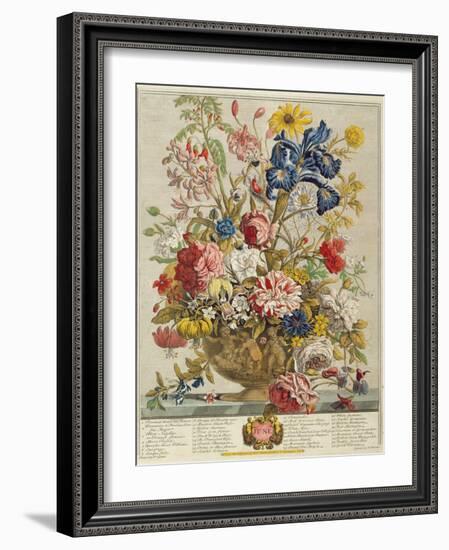 June, from 'Twelve Months of Flowers' by Robert Furber (C.1674-1756) Engraved by Henry Fletcher-Pieter Casteels-Framed Giclee Print