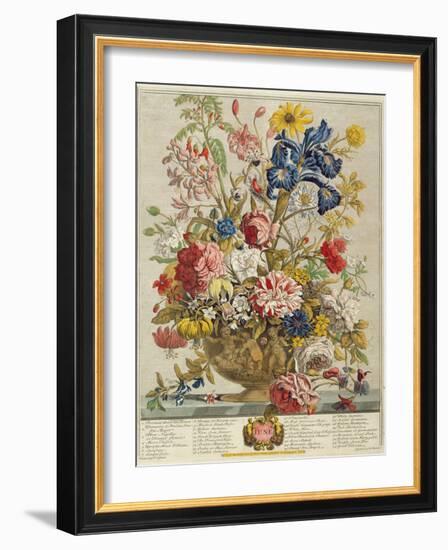 June, from 'Twelve Months of Flowers' by Robert Furber (C.1674-1756) Engraved by Henry Fletcher-Pieter Casteels-Framed Giclee Print