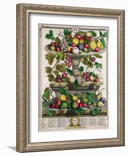 June, from 'Twelve Months of Fruits'-Pieter Casteels-Framed Giclee Print