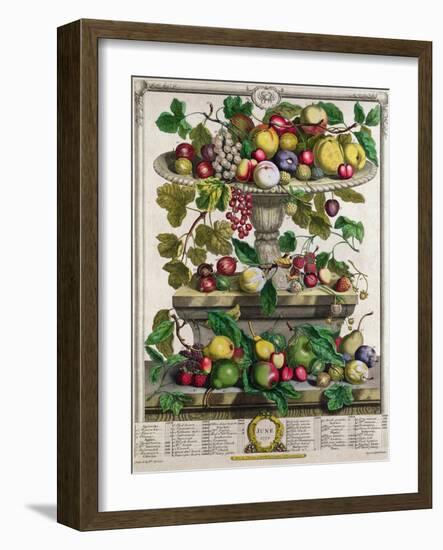 June, from 'Twelve Months of Fruits'-Pieter Casteels-Framed Giclee Print