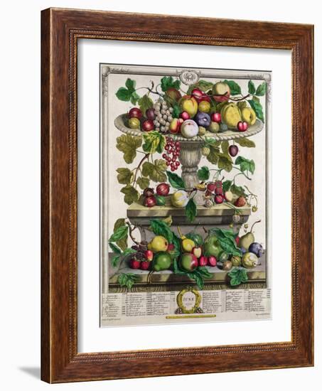 June, from 'Twelve Months of Fruits'-Pieter Casteels-Framed Giclee Print