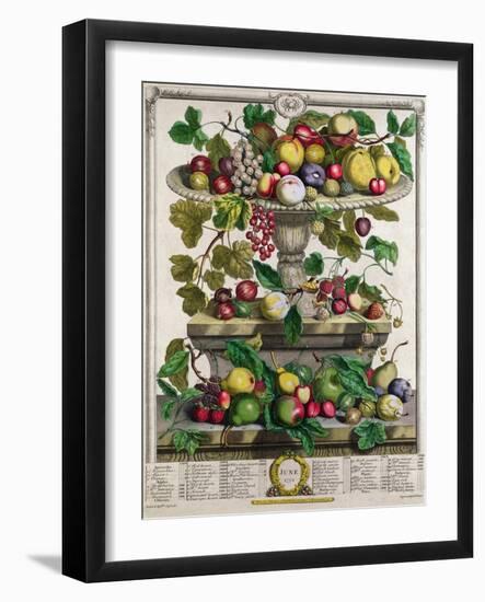 June, from 'Twelve Months of Fruits'-Pieter Casteels-Framed Giclee Print
