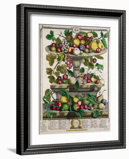 June, from 'Twelve Months of Fruits'-Pieter Casteels-Framed Giclee Print