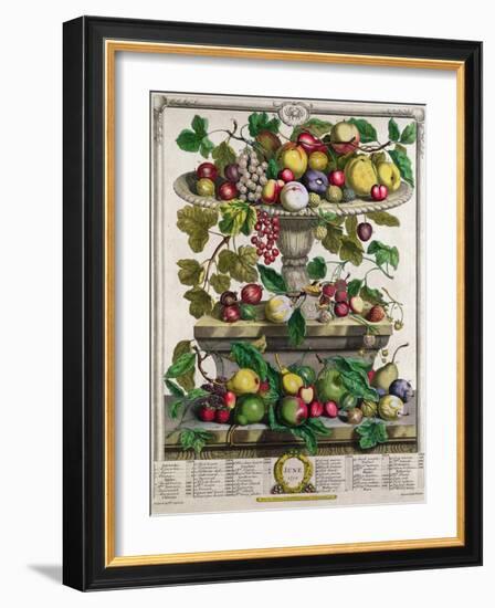 June, from 'Twelve Months of Fruits'-Pieter Casteels-Framed Giclee Print