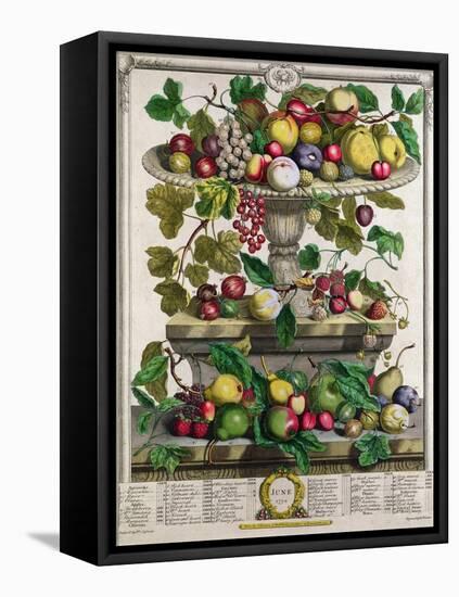 June, from 'Twelve Months of Fruits'-Pieter Casteels-Framed Premier Image Canvas