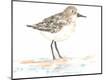 Premium Giclee Print