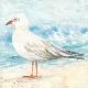 Premium Giclee Print