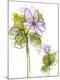 Premium Giclee Print