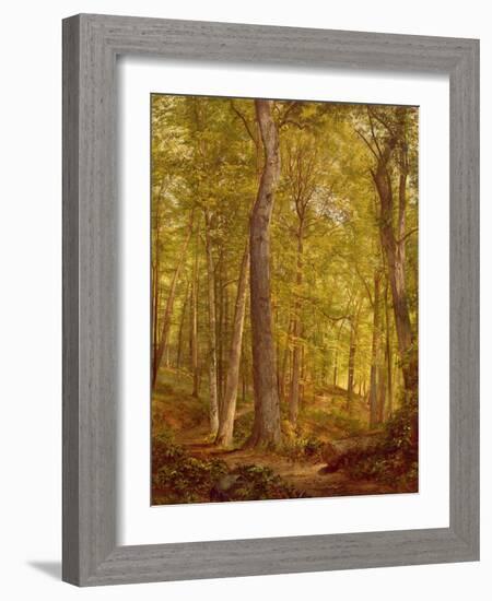 June Woods, Pennsylvania, 1864-William Trost Richards-Framed Giclee Print