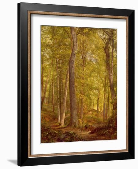 June Woods, Pennsylvania, 1864-William Trost Richards-Framed Giclee Print