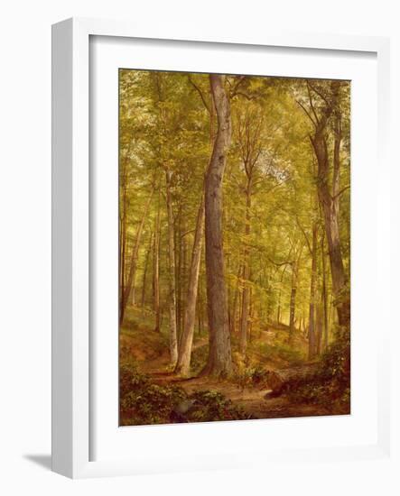 June Woods, Pennsylvania, 1864-William Trost Richards-Framed Giclee Print