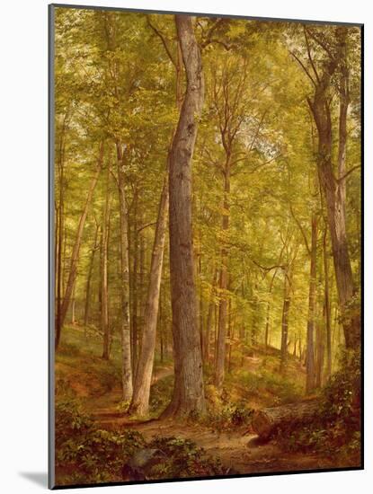 June Woods, Pennsylvania, 1864-William Trost Richards-Mounted Giclee Print