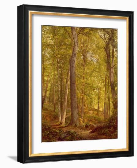 June Woods, Pennsylvania, 1864-William Trost Richards-Framed Giclee Print