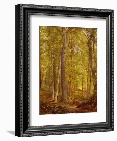 June Woods, Pennsylvania, 1864-William Trost Richards-Framed Giclee Print