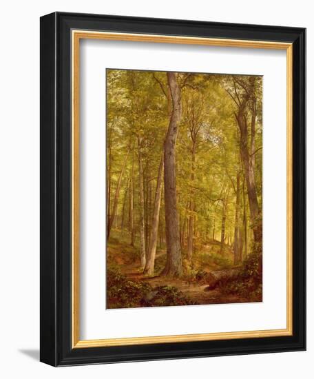 June Woods, Pennsylvania, 1864-William Trost Richards-Framed Giclee Print