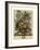 June-Robert Furber-Framed Art Print