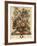 June-Robert Furber-Framed Giclee Print