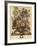 June-Robert Furber-Framed Giclee Print