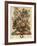 June-Robert Furber-Framed Giclee Print