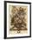 June-Robert Furber-Framed Giclee Print