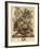 June-Robert Furber-Framed Giclee Print