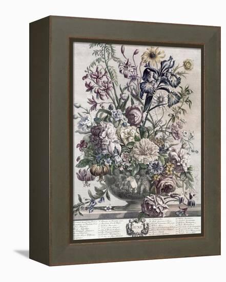 June-H. Fletcher-Framed Premier Image Canvas