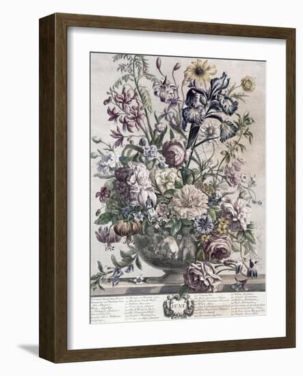 June-H. Fletcher-Framed Giclee Print